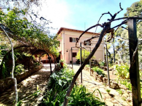 Aragonite Azzurra Casa Vacanza Gonnesa